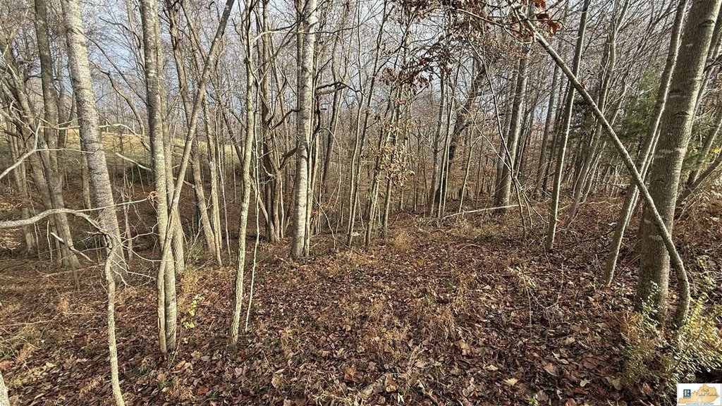 Picture 36
