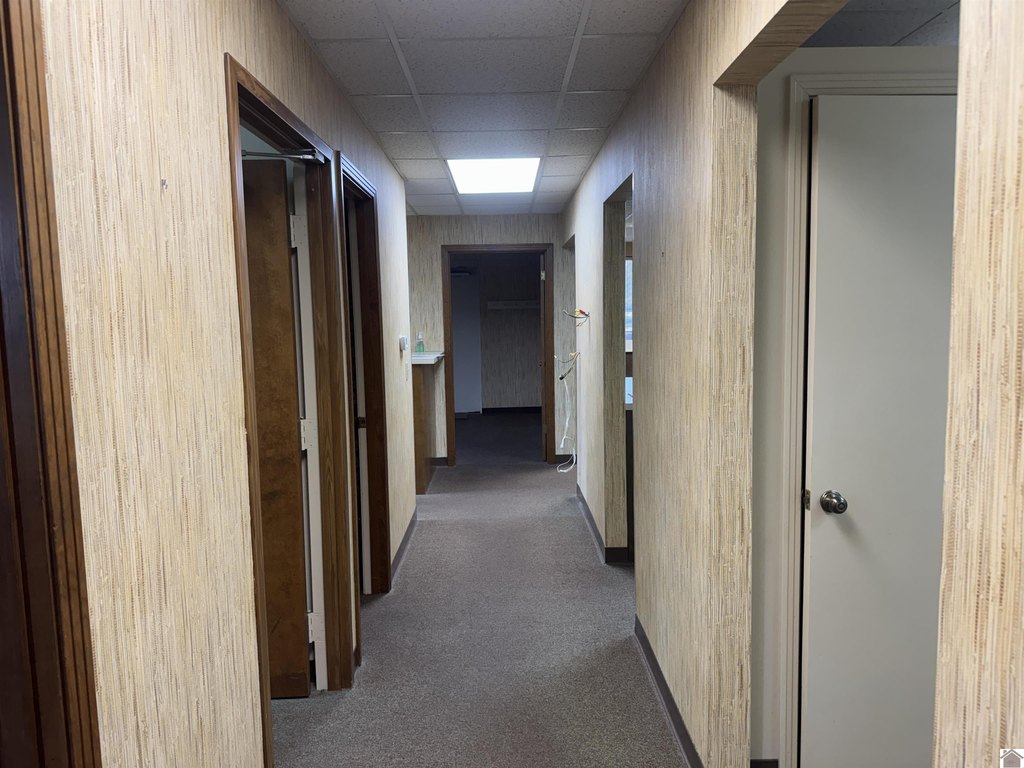 Picture 22