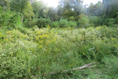 Land, Cookeville, TN