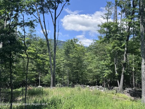 Residential Land Parcel with Septic