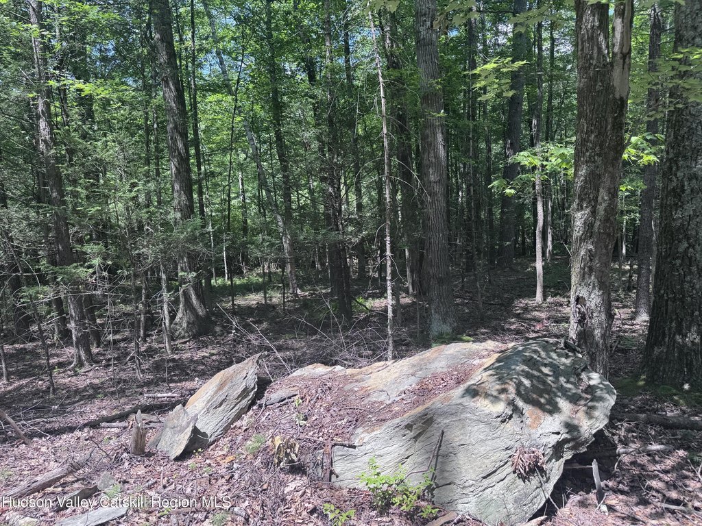 Picture 8