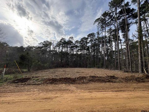 Residential Lot in Gated Subdivision