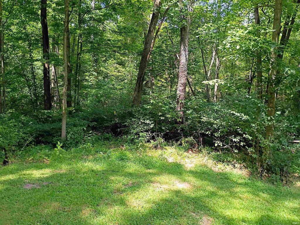Picture 13