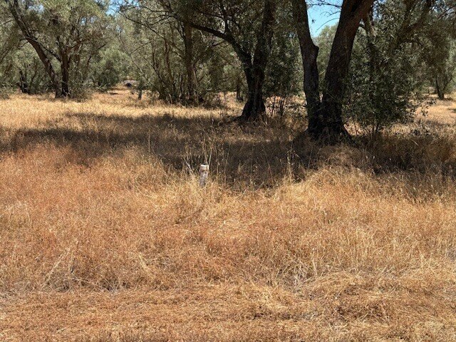Picture 18
