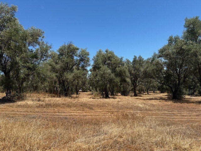 Picture 17