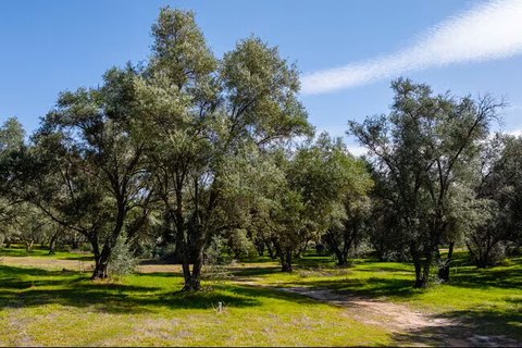 Residential Development Land with Tentative Map