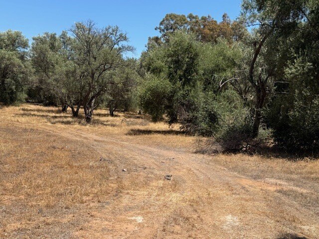 Picture 23