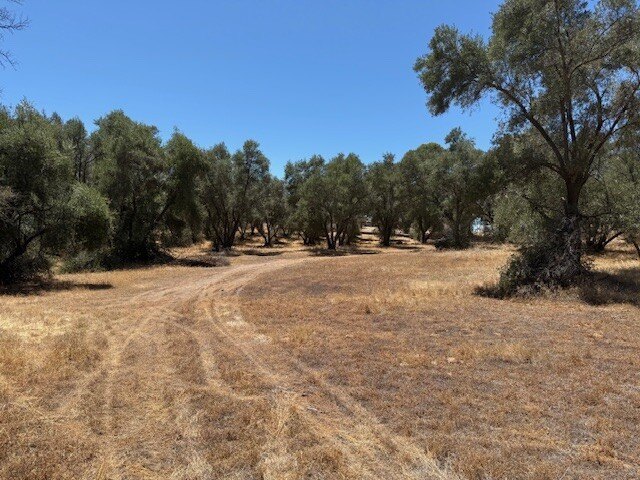 Picture 37