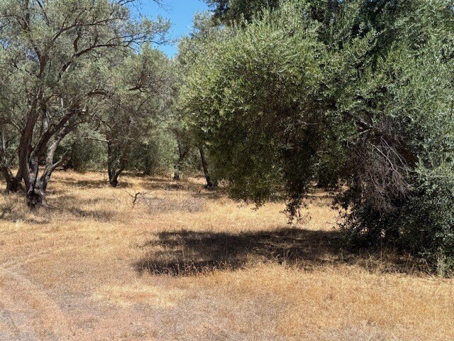 Picture 26