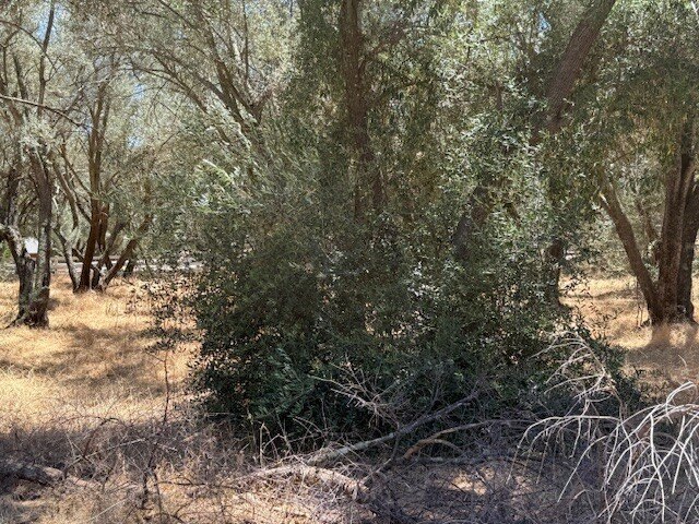 Picture 24