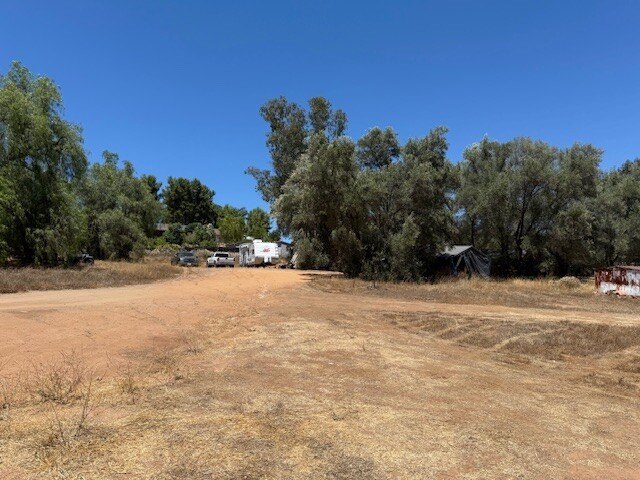 Picture 14