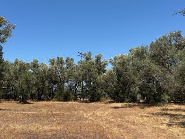 Picture 28