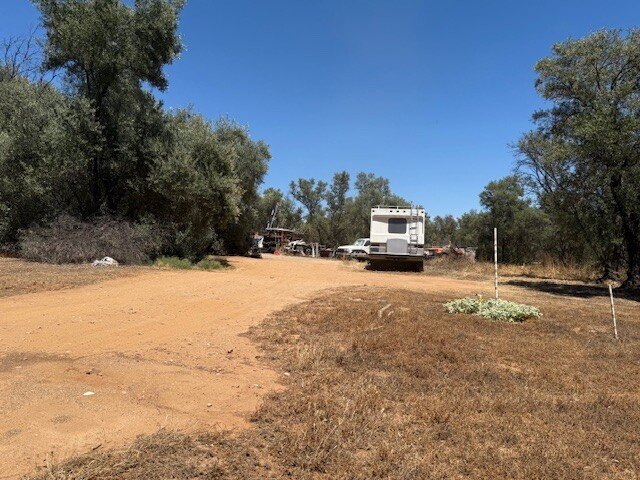 Picture 16