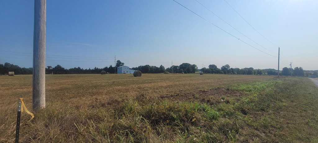 Picture 4