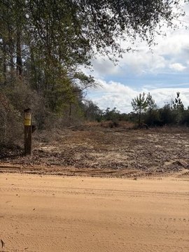 West Mobile Acreage For Sale