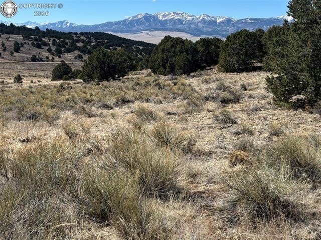 Picture 27