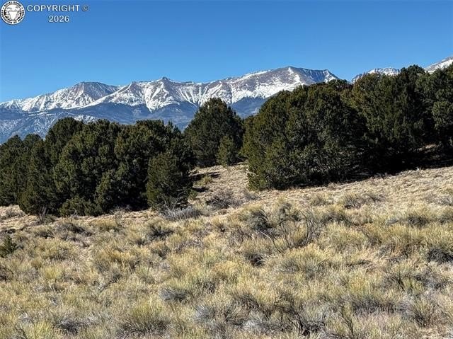 Picture 25