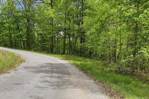 Land in Cumberland Cove