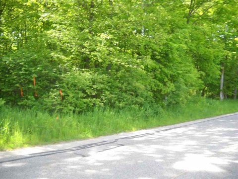 Harbor Springs Estate Size Lot