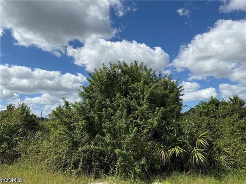Land, Lehigh Acres, FL