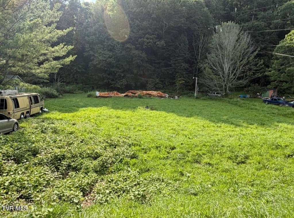 Picture 3