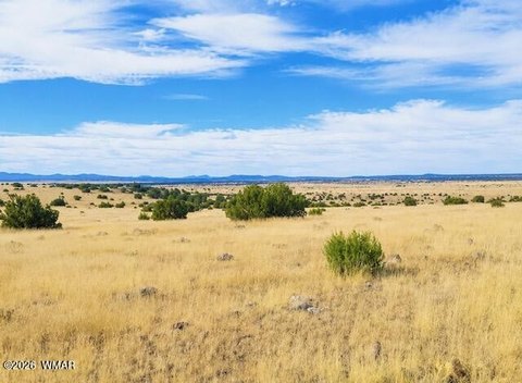 LAND - Concho Valley, AZ