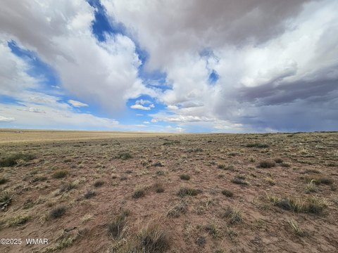 Holbrook, AZ Land For Sale