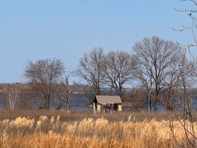 Picture 14