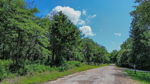 Wooded Lot Near Lexington