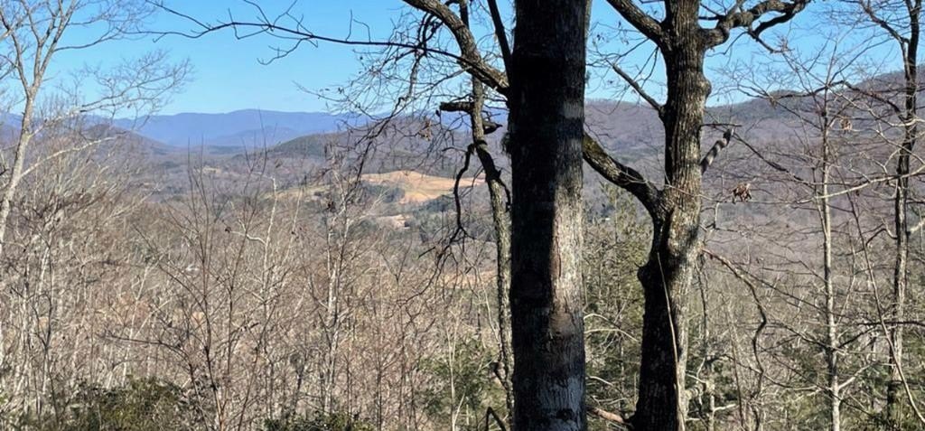 Young Harris Ridge-Top Lot