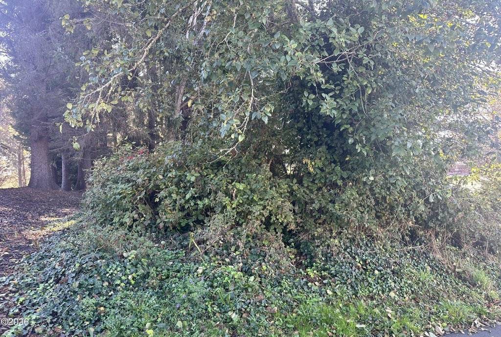 Picture 2