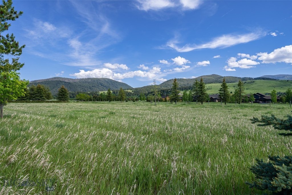 Picture 28