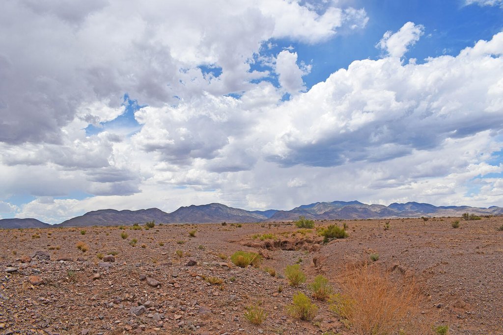 Picture 57