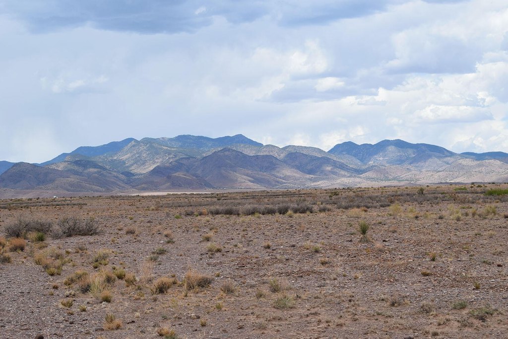 Picture 55