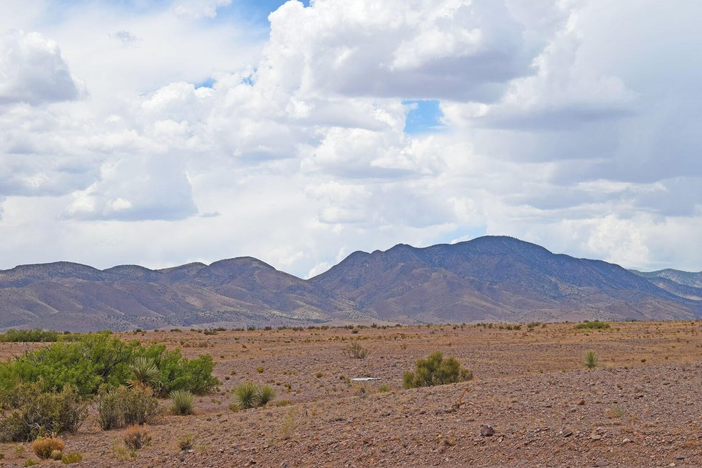 Picture 36