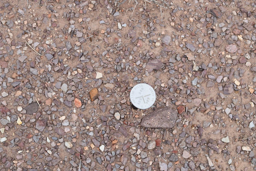 Picture 49