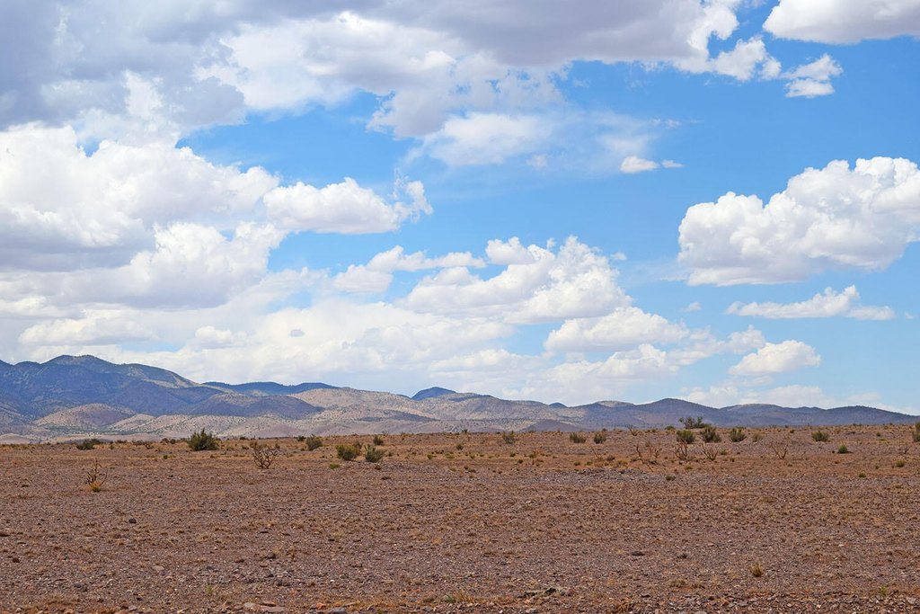 Picture 39