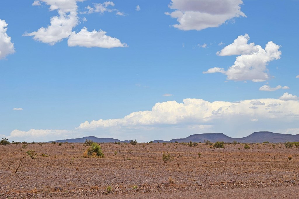 Picture 41