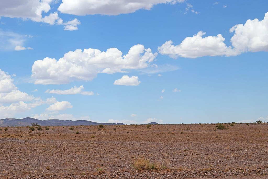 Picture 40