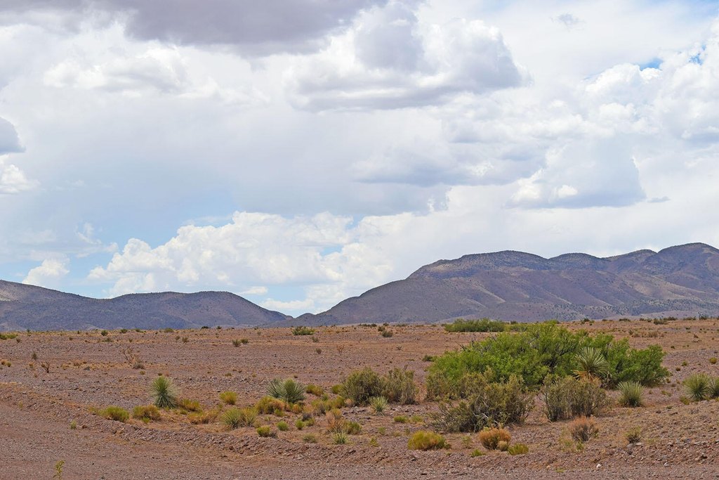 Picture 35