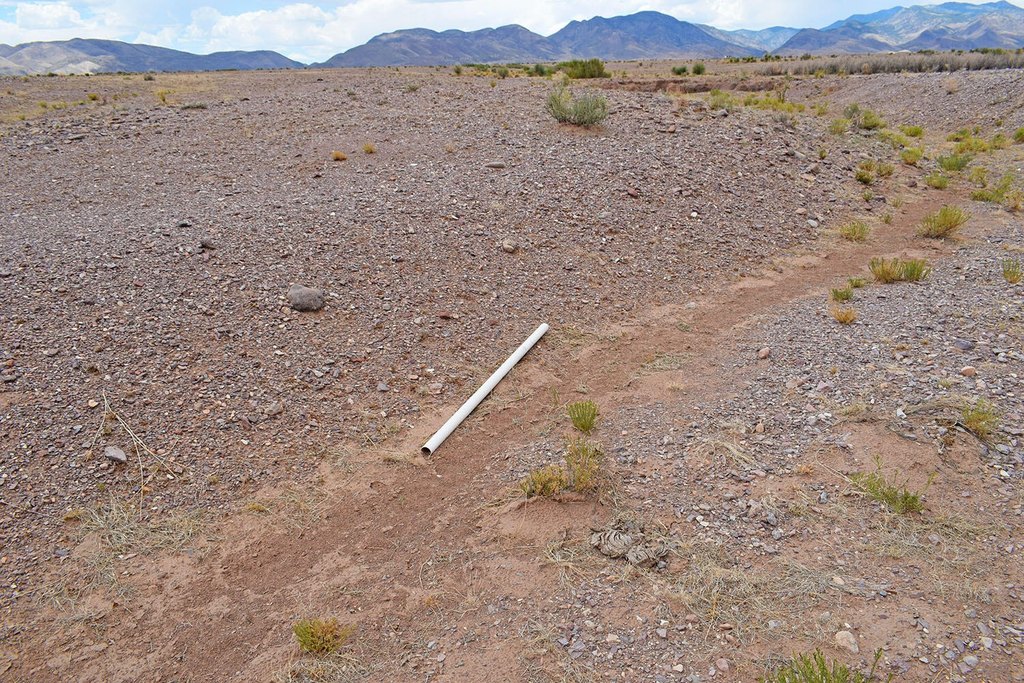 Picture 46