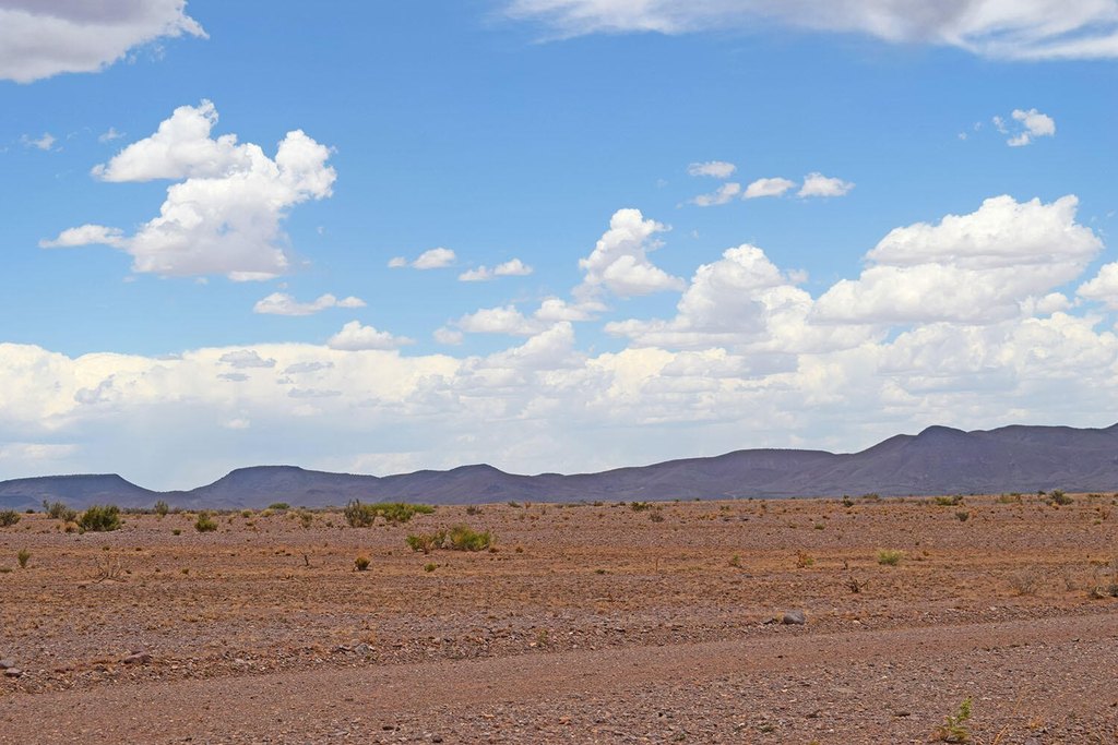 Picture 42