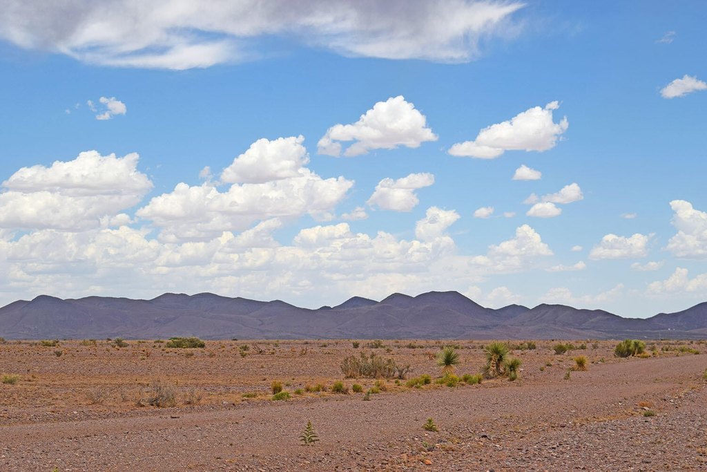 Picture 43