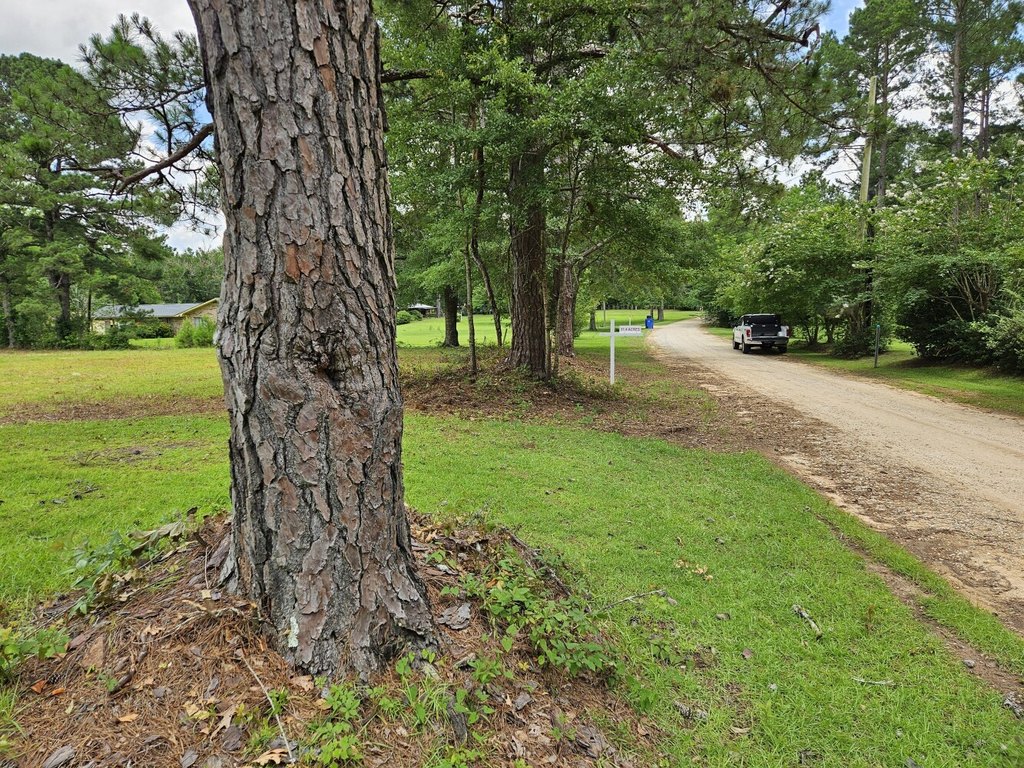 Picture 4