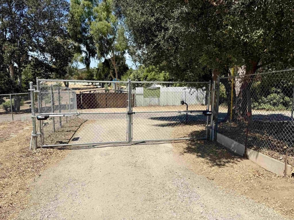 Picture 4