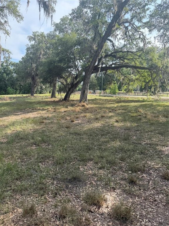 Picture 24