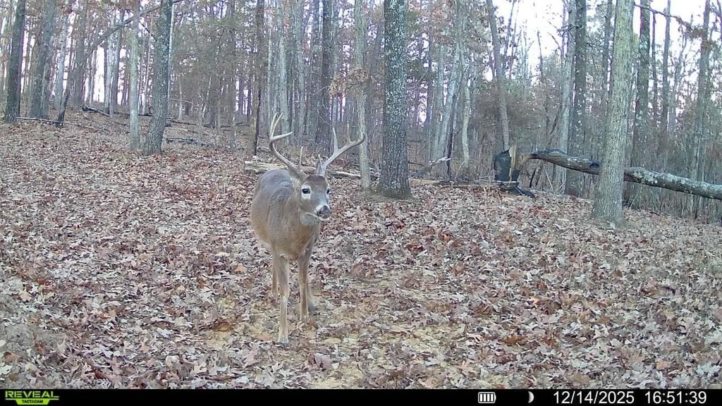 Picture 7