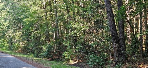 Residential Lot in Mobile, AL