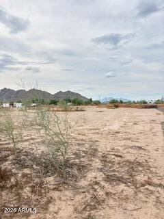 Picture 25