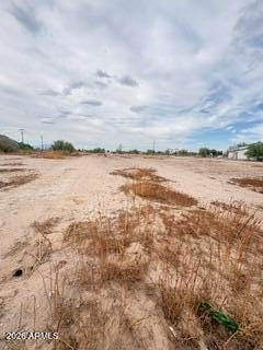 Picture 26